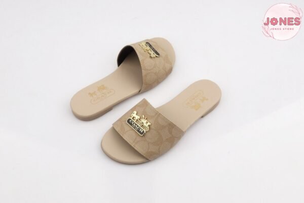 Slipper Coach