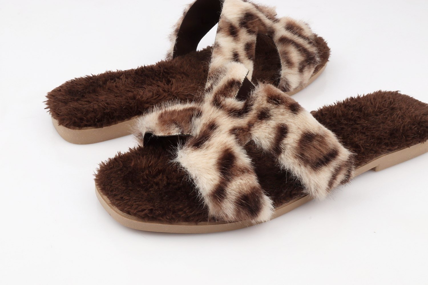 Slipper tiger - الصورة 2